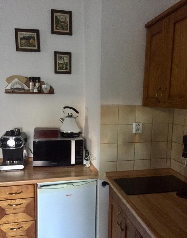 Pension Plesivecka 119 Český Krumlov Dış mekan fotoğraf