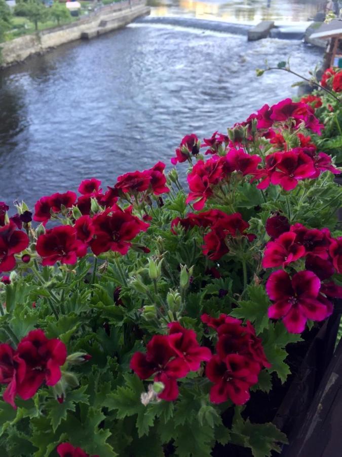 Pension Plesivecka 119 Český Krumlov Dış mekan fotoğraf