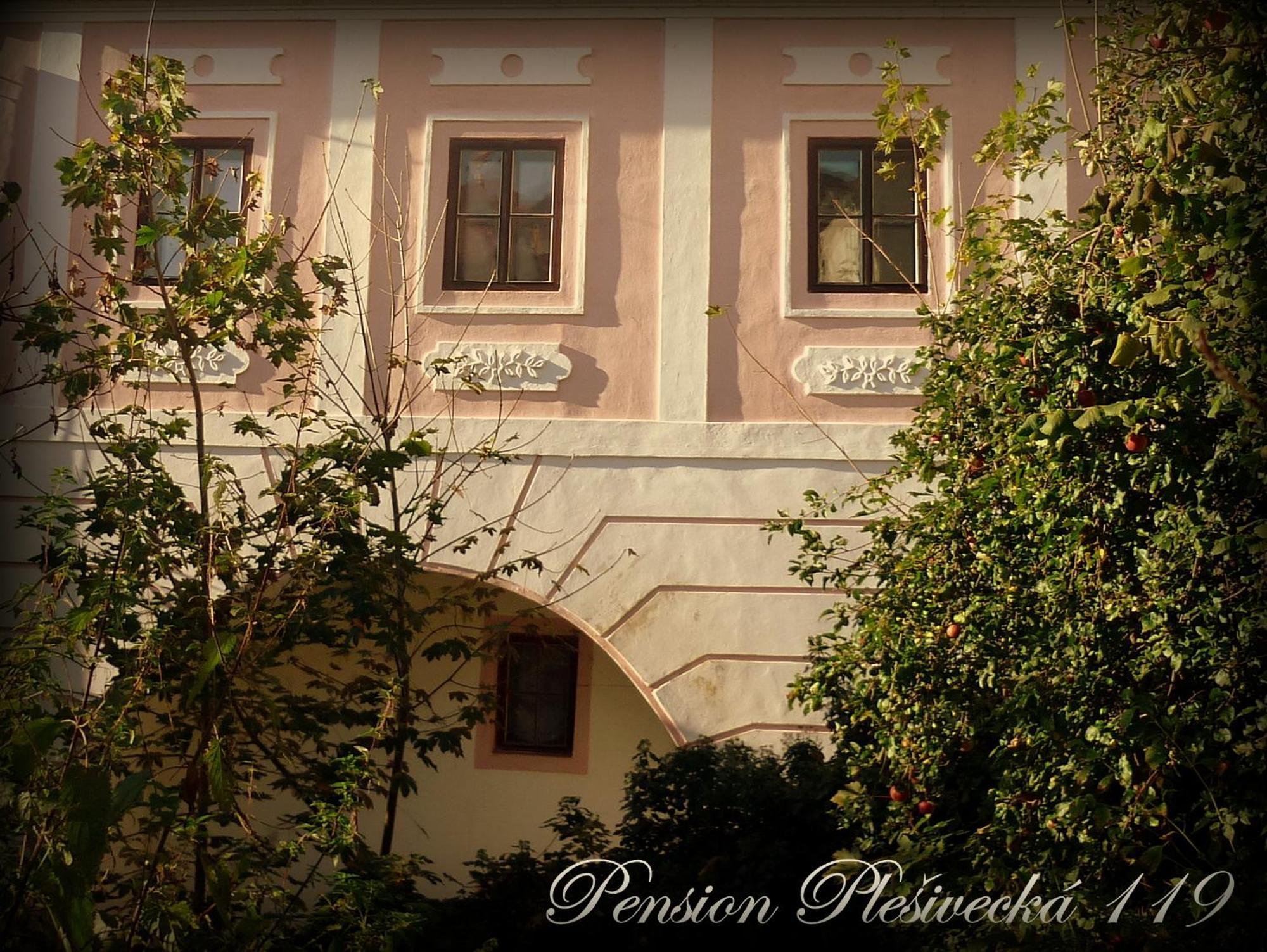 Pension Plesivecka 119 Český Krumlov Dış mekan fotoğraf