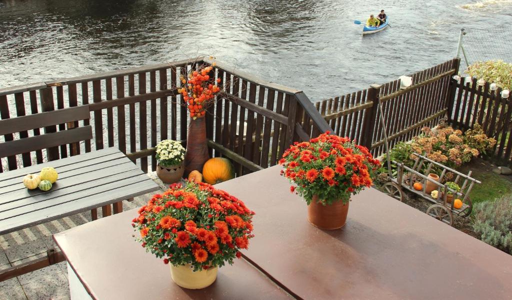 Pension Plesivecka 119 Český Krumlov Dış mekan fotoğraf
