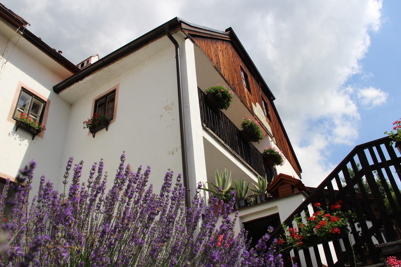 Pension Plesivecka 119 Český Krumlov Dış mekan fotoğraf