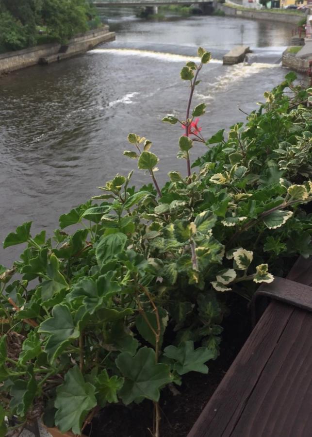Pension Plesivecka 119 Český Krumlov Dış mekan fotoğraf